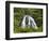 Owharoa Falls, Karangahake Gorge, Waikato, North Island, New Zealand-David Wall-Framed Photographic Print