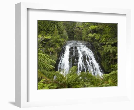 Owharoa Falls, Karangahake Gorge, Waikato, North Island, New Zealand-David Wall-Framed Photographic Print