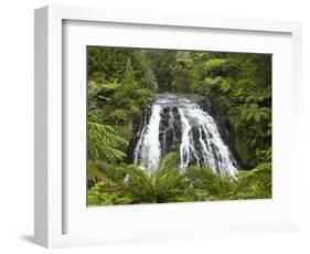 Owharoa Falls, Karangahake Gorge, Waikato, North Island, New Zealand-David Wall-Framed Photographic Print