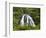 Owharoa Falls, Karangahake Gorge, Waikato, North Island, New Zealand-David Wall-Framed Photographic Print