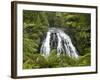 Owharoa Falls, Karangahake Gorge, Waikato, North Island, New Zealand-David Wall-Framed Photographic Print