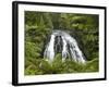 Owharoa Falls, Karangahake Gorge, Waikato, North Island, New Zealand-David Wall-Framed Photographic Print