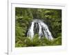 Owharoa Falls, Karangahake Gorge, Waikato, North Island, New Zealand-David Wall-Framed Photographic Print