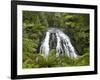 Owharoa Falls, Karangahake Gorge, Waikato, North Island, New Zealand-David Wall-Framed Photographic Print