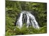 Owharoa Falls, Karangahake Gorge, Waikato, North Island, New Zealand-David Wall-Mounted Photographic Print