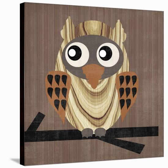 Owl 1-Erin Clark-Stretched Canvas