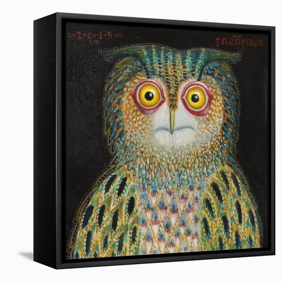 Owl, 2015-Tamas Galambos-Framed Stretched Canvas