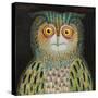 Owl, 2015-Tamas Galambos-Stretched Canvas