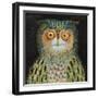 Owl, 2015-Tamas Galambos-Framed Giclee Print