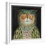 Owl, 2015-Tamas Galambos-Framed Giclee Print