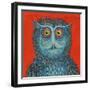 Owl, 2015-Tamas Galambos-Framed Giclee Print