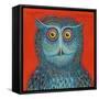 Owl, 2015-Tamas Galambos-Framed Stretched Canvas