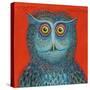 Owl, 2015-Tamas Galambos-Stretched Canvas
