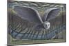 Owl, 2022, (Tinted Gesso on Canvas & Wood)-PJ Crook-Mounted Giclee Print