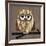 Owl 2-Erin Clark-Framed Giclee Print