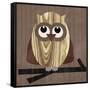 Owl 2-Erin Clark-Framed Stretched Canvas