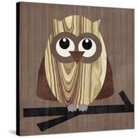 Owl 2-Erin Clark-Stretched Canvas