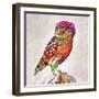 Owl 4-Mark Ashkenazi-Framed Premium Giclee Print