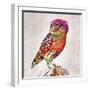 Owl 4-Mark Ashkenazi-Framed Premium Giclee Print