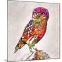 Owl 4-Mark Ashkenazi-Mounted Giclee Print