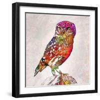 Owl 4-Mark Ashkenazi-Framed Giclee Print