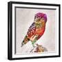 Owl 4-Mark Ashkenazi-Framed Giclee Print