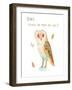 Owl Always Be There for You-Ling's Workshop-Framed Art Print