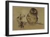 Owl And Bee-Joseph Crawhall-Framed Premium Giclee Print