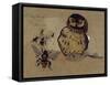 Owl and Bees-Joseph Crawhall-Framed Stretched Canvas