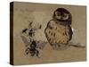 Owl and Bees-Joseph Crawhall-Stretched Canvas