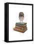 Owl and Books-J Hovenstine Studios-Framed Stretched Canvas