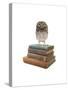 Owl and Books-J Hovenstine Studios-Stretched Canvas