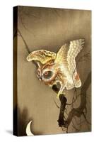 Owl and Crescent Moon-Koson Ohara-Stretched Canvas