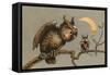 Owl and Owlet-null-Framed Stretched Canvas