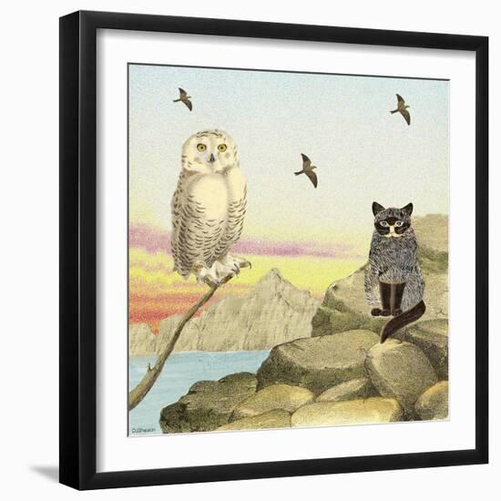 Owl and Pussycat 13-David Sheskin-Framed Giclee Print