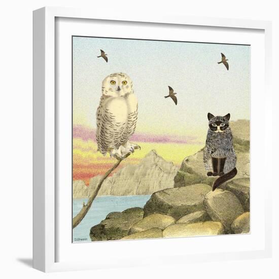 Owl and Pussycat 13-David Sheskin-Framed Giclee Print