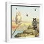 Owl and Pussycat 13-David Sheskin-Framed Giclee Print