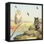 Owl and Pussycat 13-David Sheskin-Framed Stretched Canvas