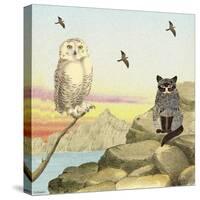 Owl and Pussycat 13-David Sheskin-Stretched Canvas