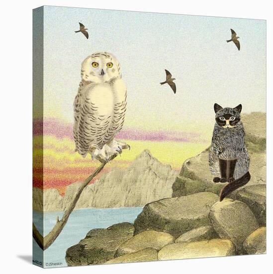 Owl and Pussycat 13-David Sheskin-Stretched Canvas