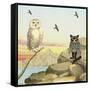 Owl and Pussycat 13-David Sheskin-Framed Stretched Canvas