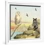 Owl and Pussycat 13-David Sheskin-Framed Giclee Print