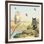 Owl and Pussycat 13-David Sheskin-Framed Giclee Print