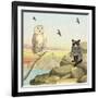 Owl and Pussycat 13-David Sheskin-Framed Giclee Print