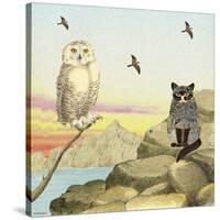 Owl and Pussycat 13-David Sheskin-Stretched Canvas