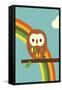 Owl and Rainbow-Dicky Bird-Framed Stretched Canvas