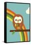 Owl and Rainbow-Dicky Bird-Framed Stretched Canvas