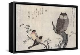 Owl and Two Eastern Bullfinches, Birds Compared in Humorous Songs, c.1791-Kitagawa Utamaro-Framed Stretched Canvas