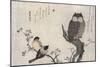Owl and Two Eastern Bullfinches, Birds Compared in Humorous Songs, c.1791-Kitagawa Utamaro-Mounted Giclee Print