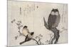 Owl and Two Eastern Bullfinches, Birds Compared in Humorous Songs, c.1791-Kitagawa Utamaro-Mounted Giclee Print